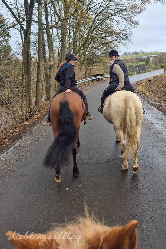 Ausreiten mit Dolida im Dezember 2025