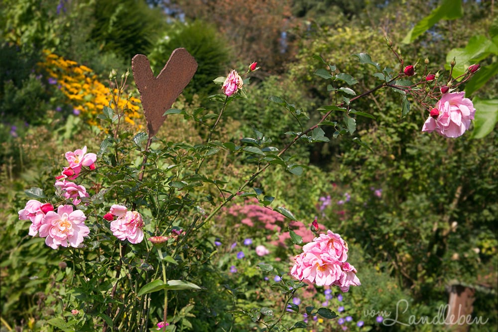 Bergische Gartentour 2017 – Offene Gartenpforte Hof Tüschenbonn