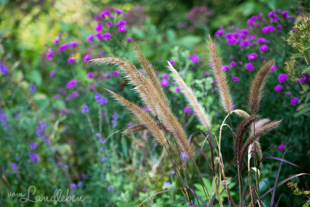 Bergische Gartentour 2017 – Offene Gartenpforte Hof Tüschenbonn