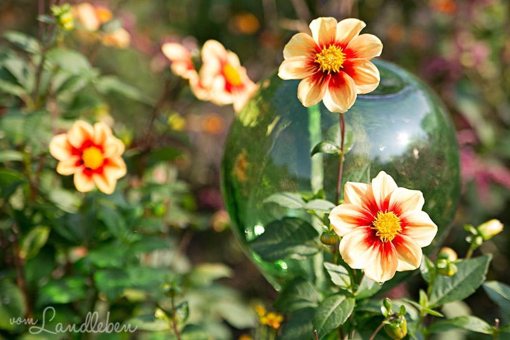 Bergische Gartentour 2017 – Offene Gartenpforte Hof Tüschenbonn