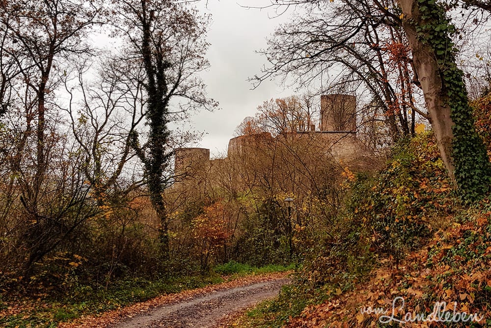Burg Blankenberg
