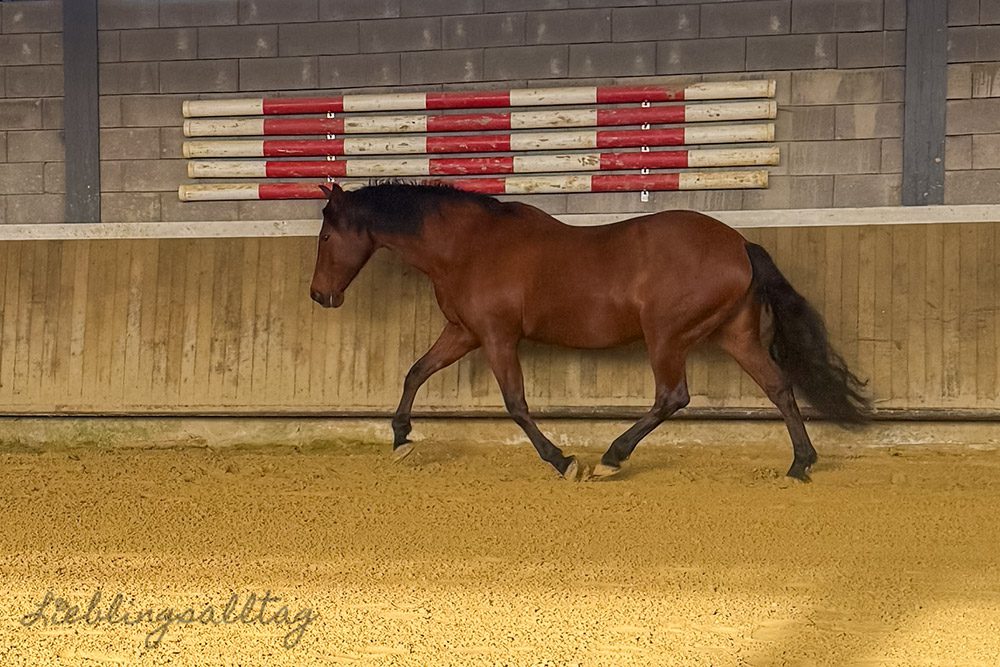 Dolida im November 2025