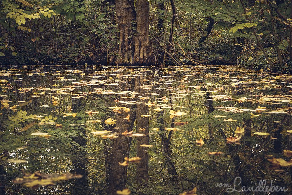 #fotoprojekt17 – Spiegelungen