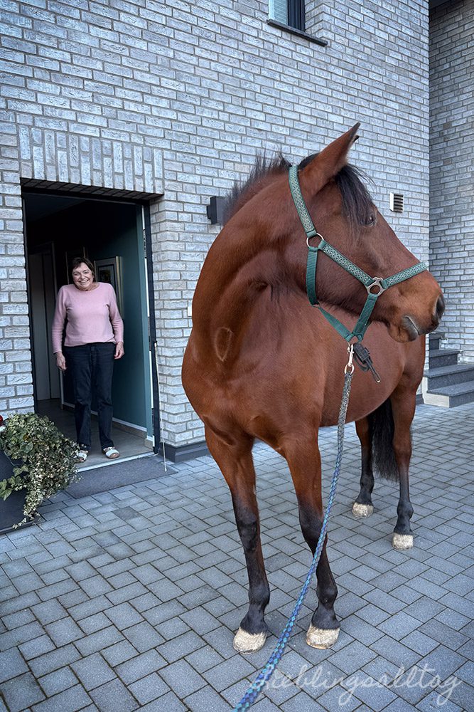 Meine Mama und Dolida im Dezember 2025