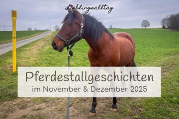 Pferdestallgeschichten im November & Dezember 2025