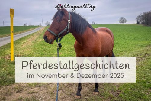 Pferdestallgeschichten im November & Dezember 2025