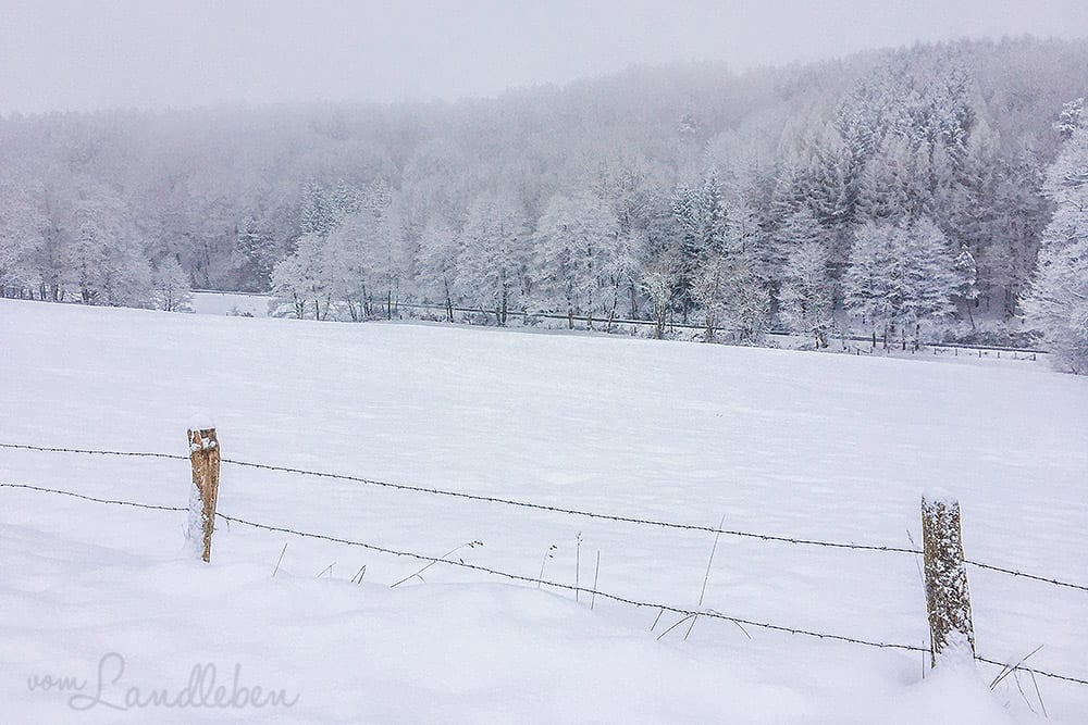 Verschneite Winterlandschaft - Imbolc