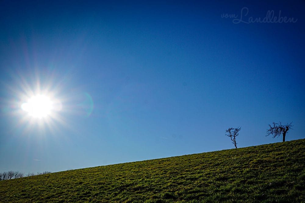 Spaziergang an der Wahnbachtalsperre