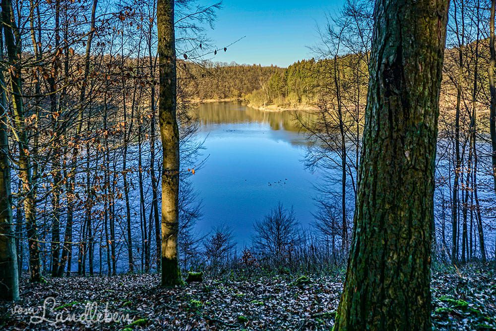 Spaziergang an der Wahnbachtalsperre