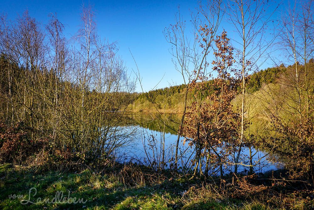 Spaziergang an der Wahnbachtalsperre