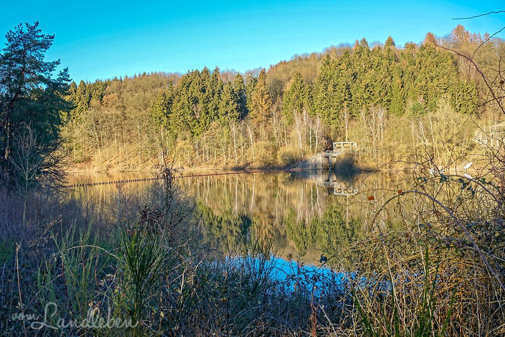 Spaziergang an der Wahnbachtalsperre