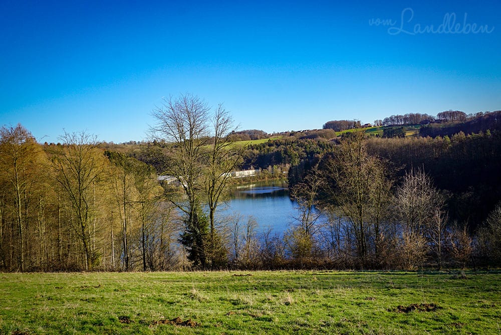 Spaziergang an der Wahnbachtalsperre