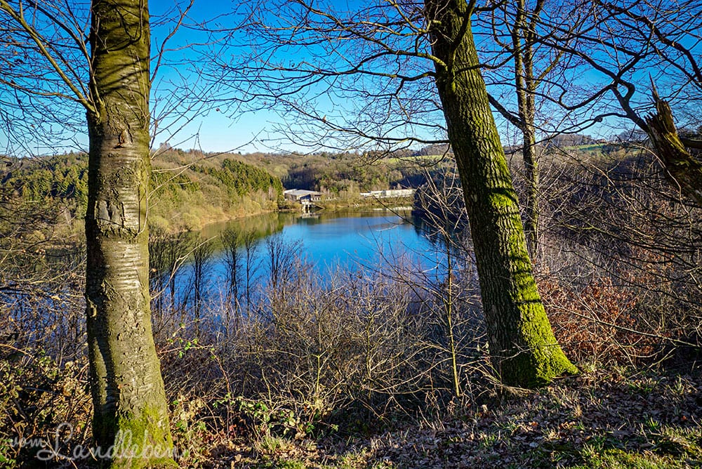 Spaziergang an der Wahnbachtalsperre