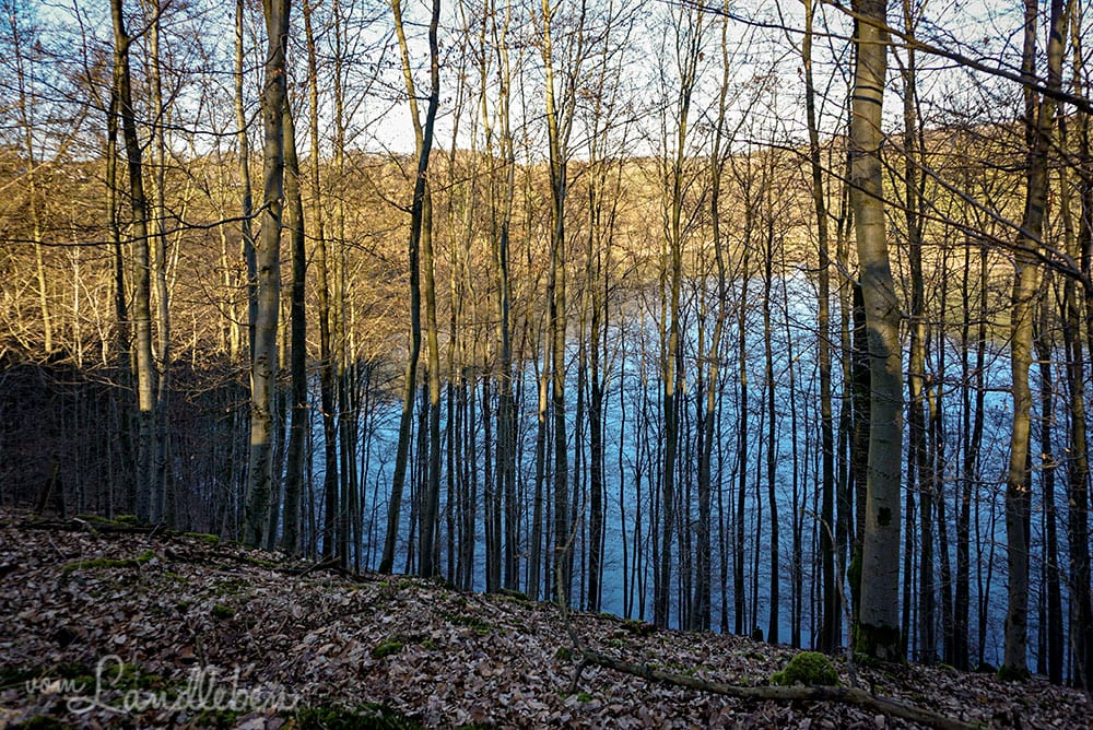 Spaziergang an der Wahnbachtalsperre