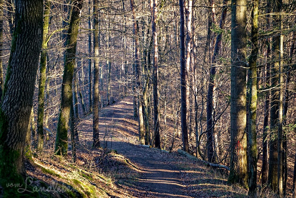 Spaziergang an der Wahnbachtalsperre