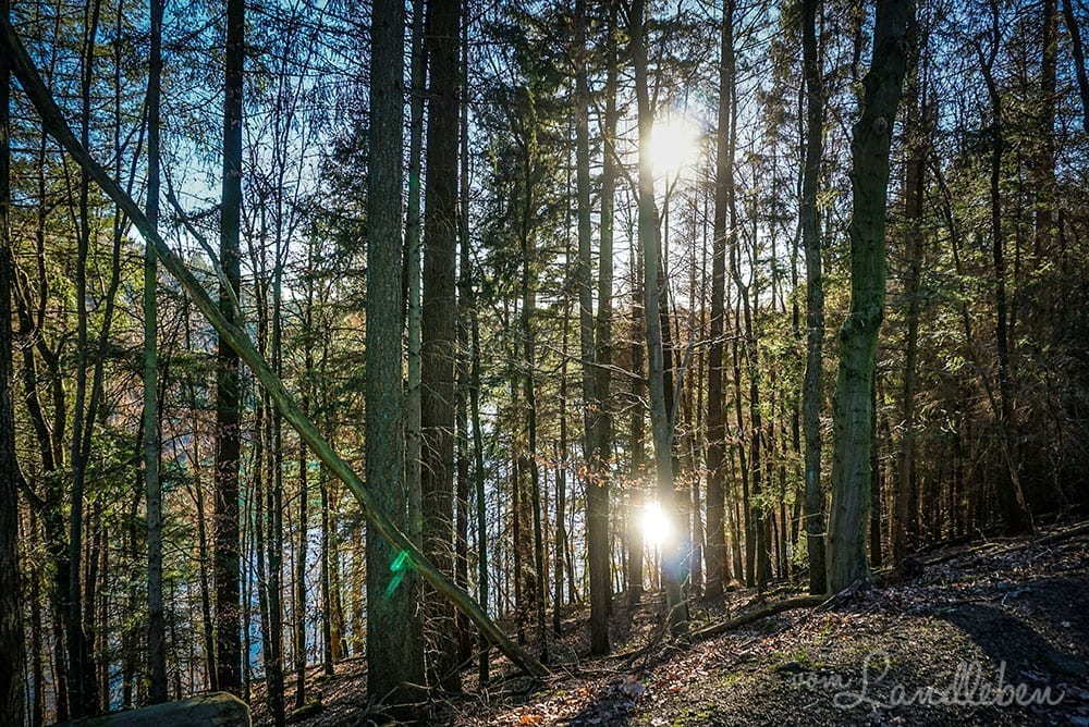Spaziergang an der Wahnbachtalsperre