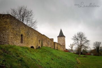 Stadt Blankenberg