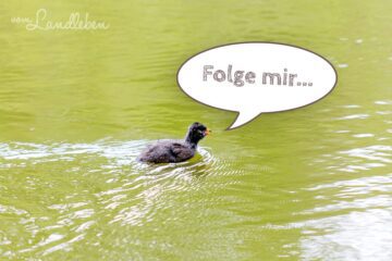 Folge vom Landleben