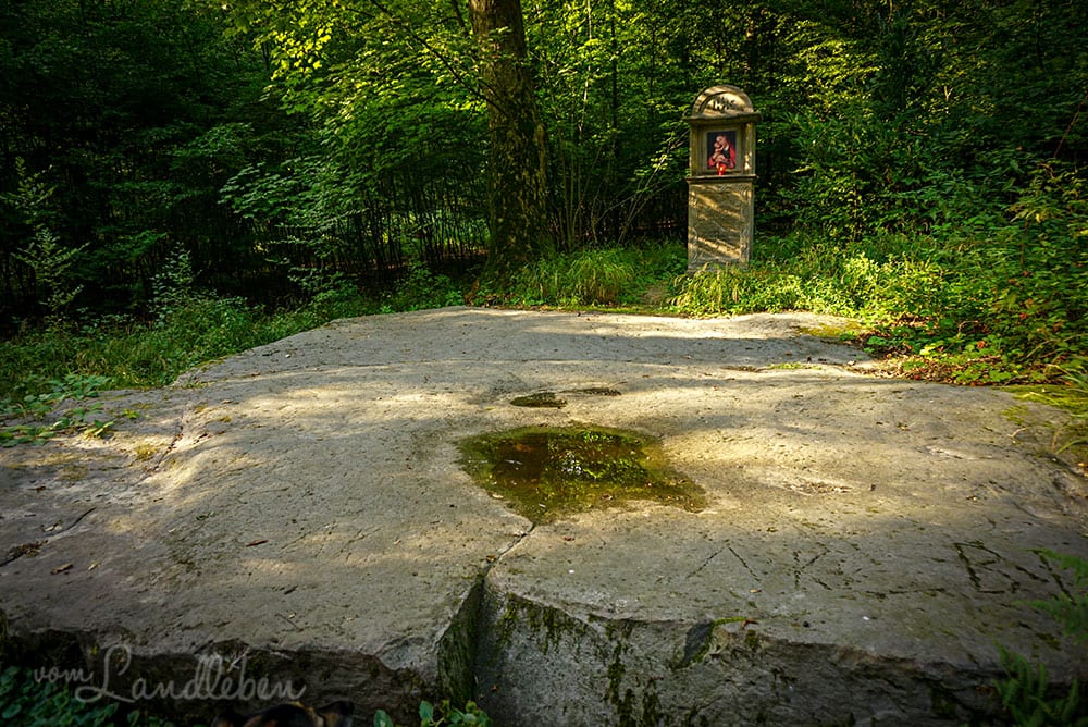 Wandern in der Wahner Heide - Eremitage