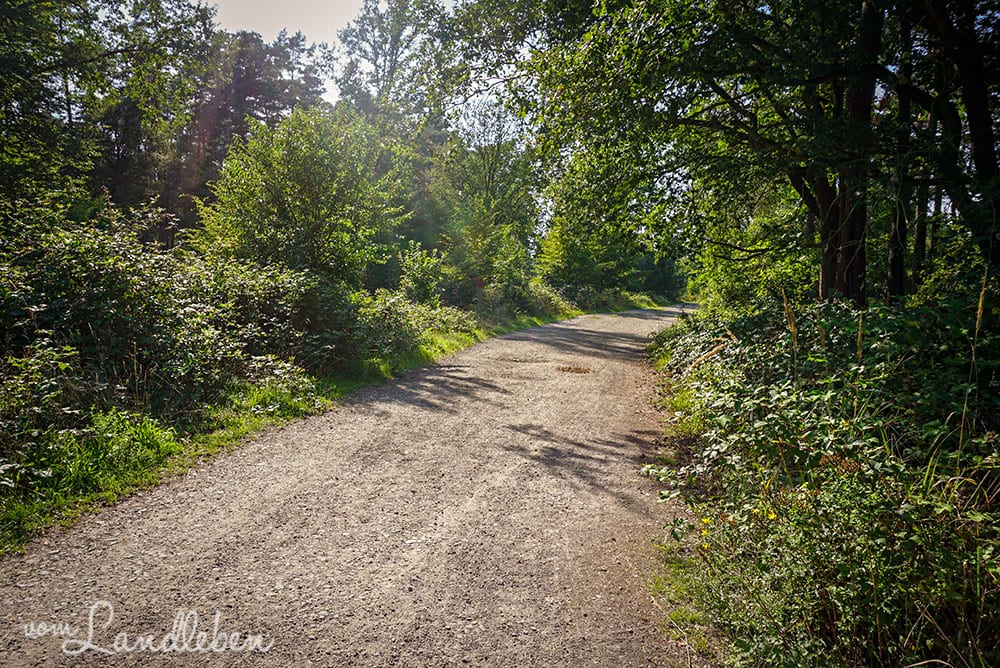Wandern in der Wahner Heide