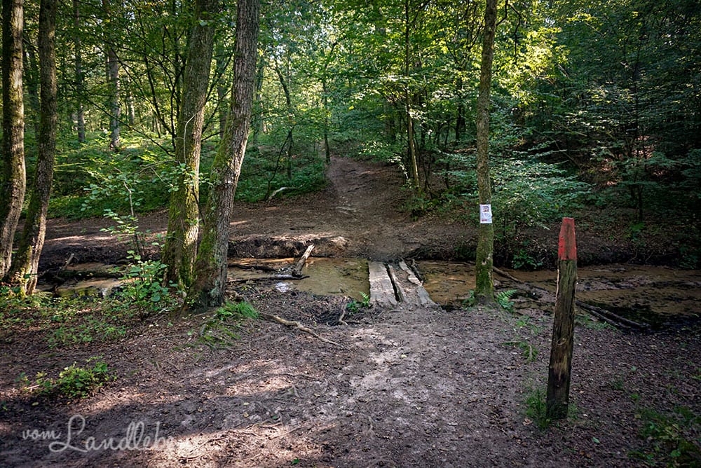 Wandern in der Wahner Heide - Brücke über den Heimbach