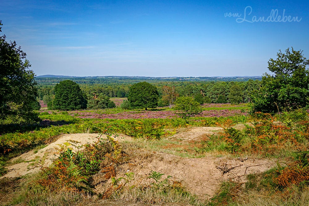 Wandern in der Wahner Heide