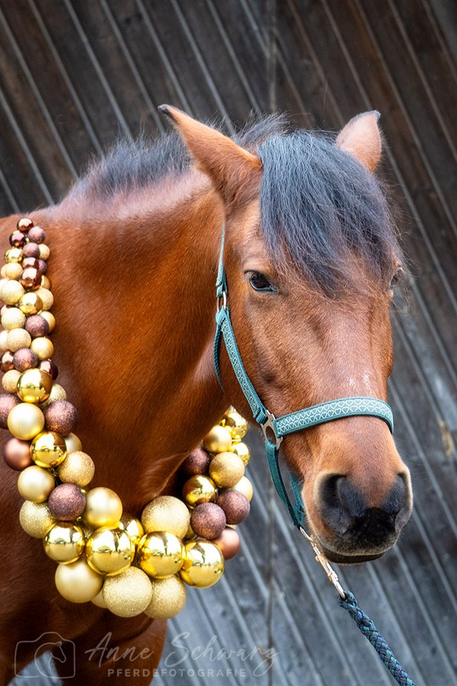 Weihnachtsshooting – Dolida – Outtakes