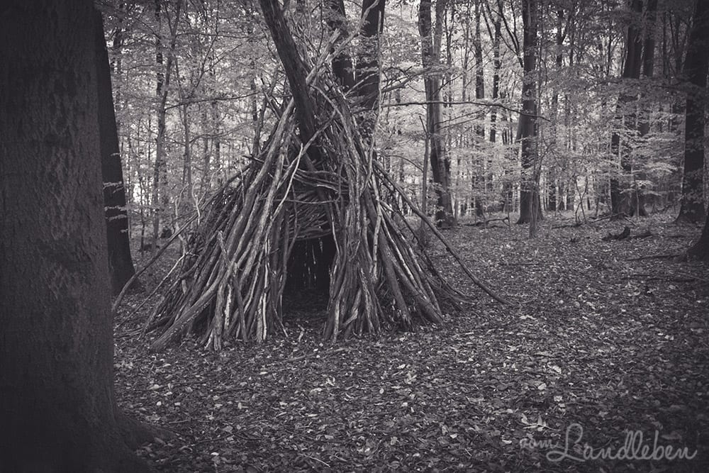 Werifesteria – Im Wald – Herbst 2017