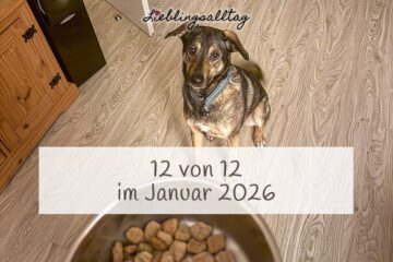 12 von 12 im Januar 2026