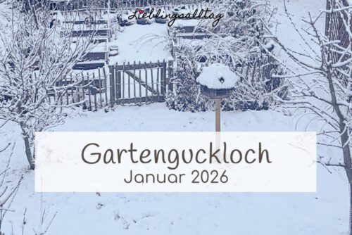 Gartenguckloch im Januar 2026