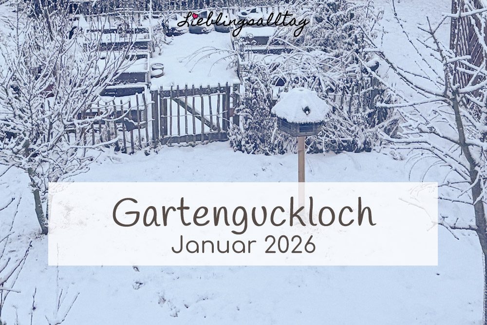 Gartenguckloch im Januar 2026