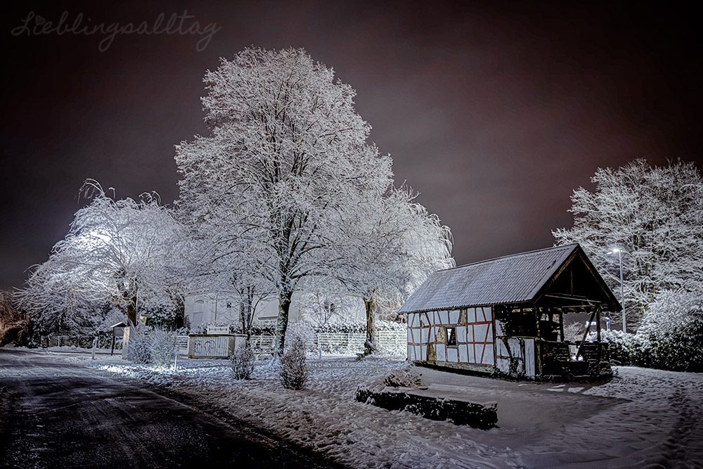Glühweinwanderung im Januar 2026
