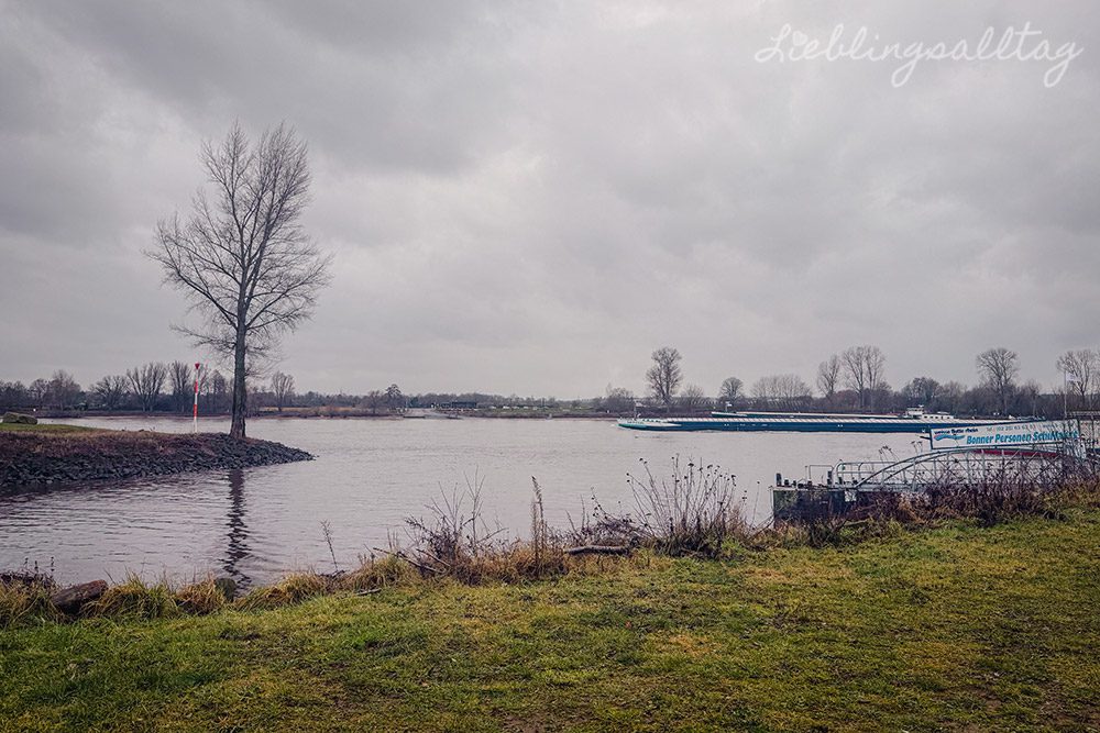 Mündung der Sieg in den Rhein
