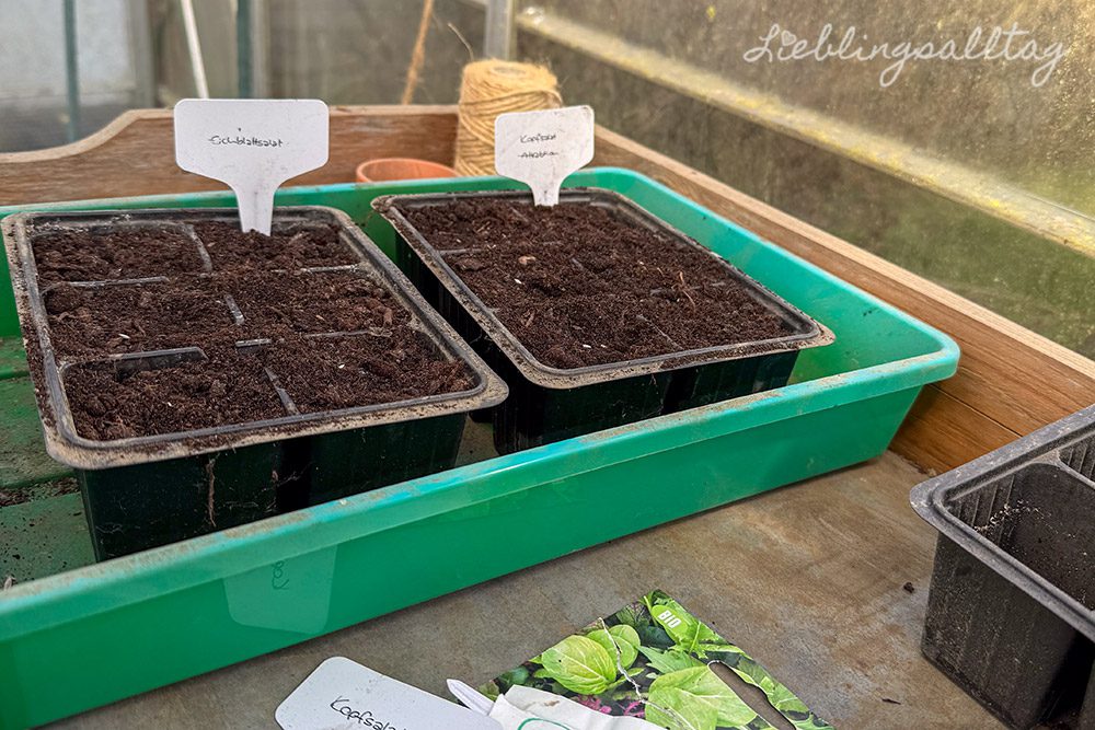 Erste Aussaaten 2026