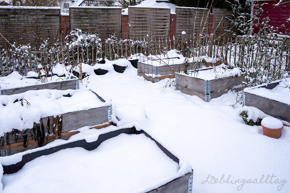 Schnee im Bauerngarten – Januar 2026