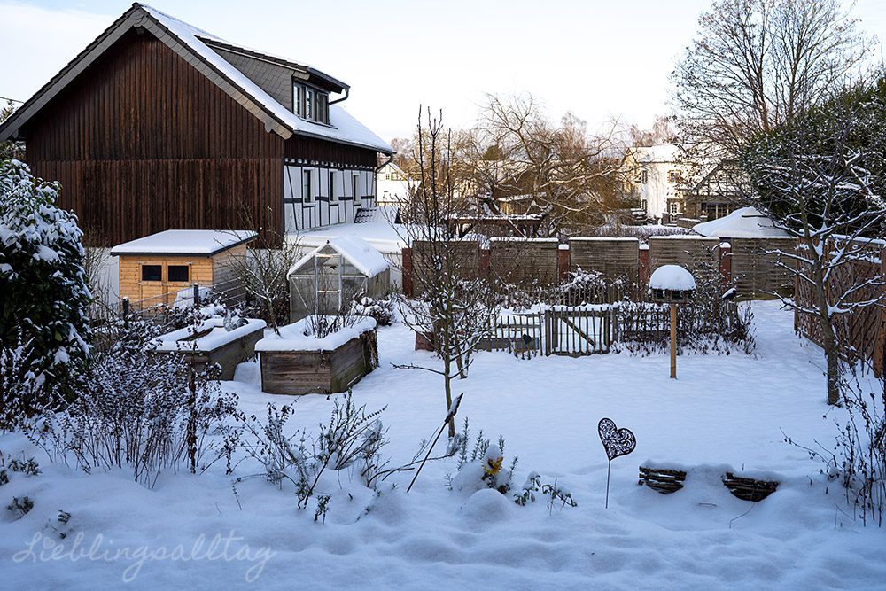 Schnee im Garten – Januar 2026