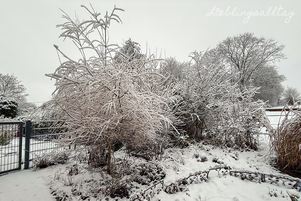 Schnee im Garten – Januar 2026