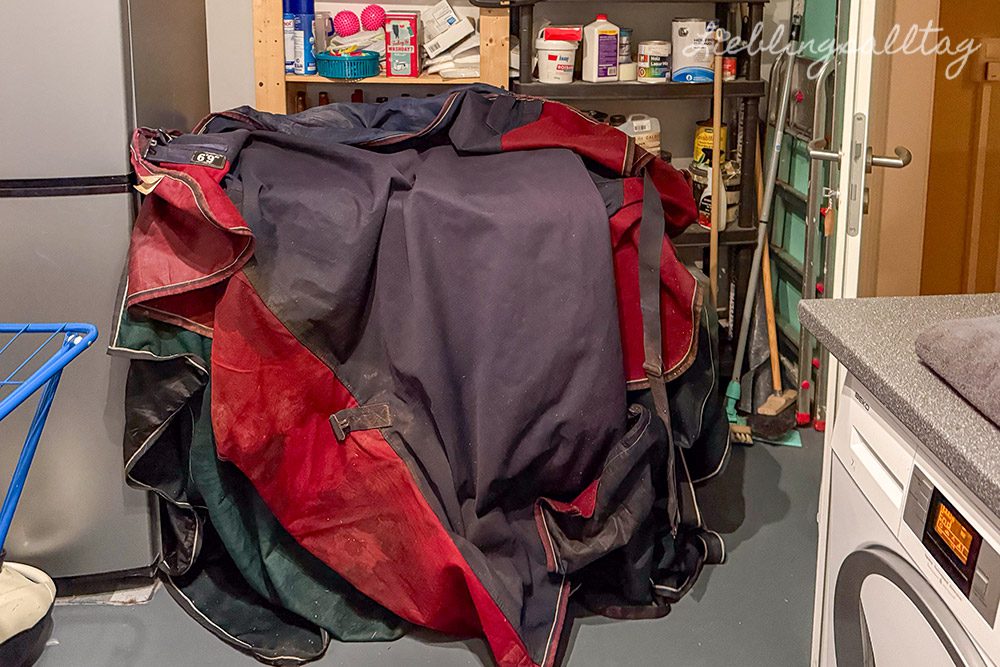 12 von 12 im Januar 2026 – Waschküchenromantik