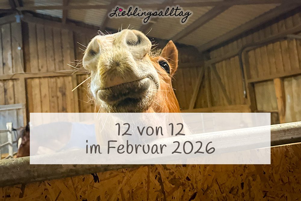 12 von 12 im Februar 2026