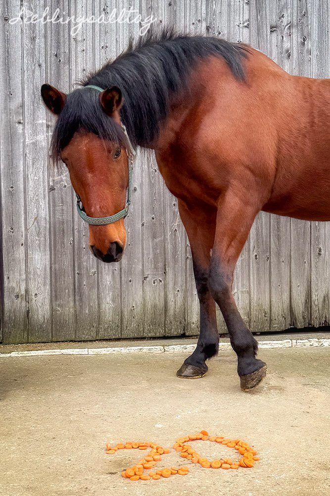 Dolida feiert ihren 20. Geburtstag