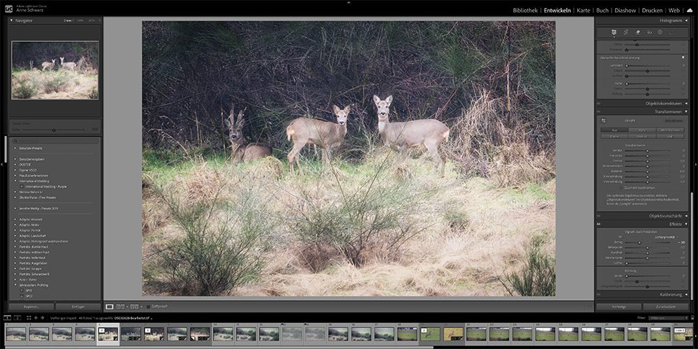 12 von 12 im Februar 2026 – Fotos bearbeiten