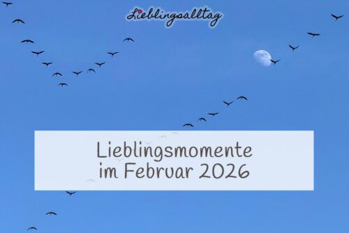 Lieblingsmomente im Februar 2026