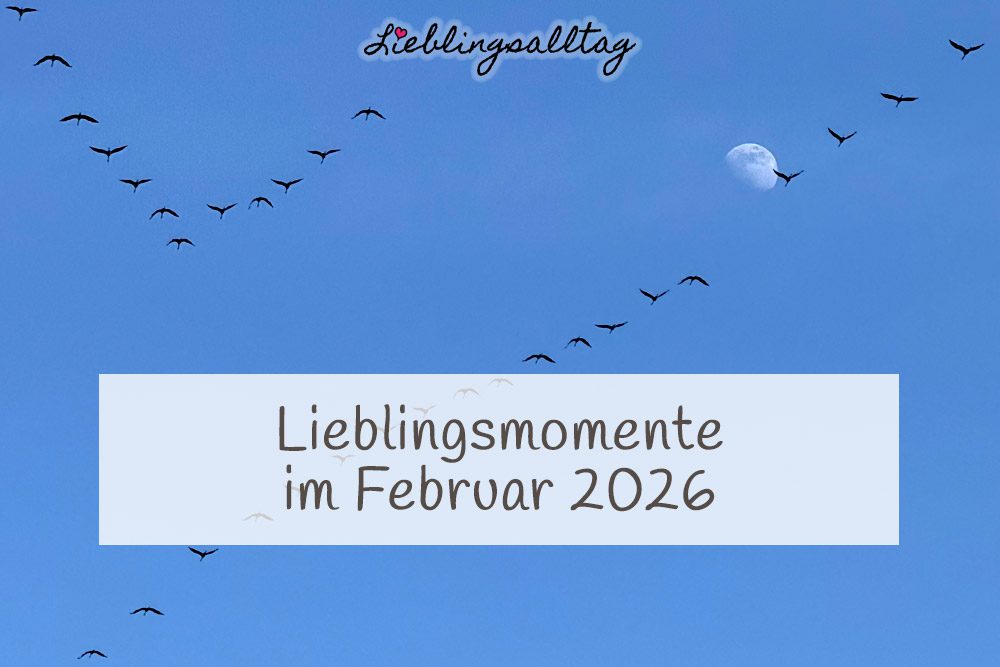 Lieblingsmomente im Februar 2026