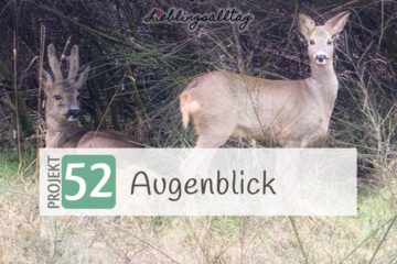 Rehe – Augenblick – Projekt 52