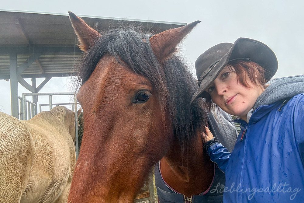 Selfie mit Dolida – 12 von 12 im Februar 2026