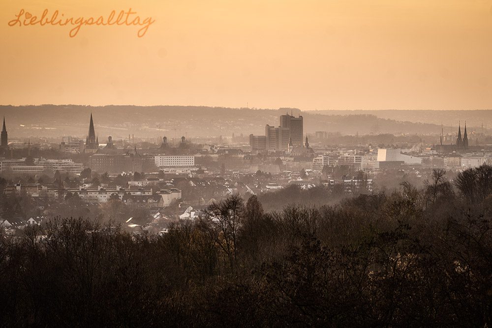 Blick vom Dornheckensee über Bonn