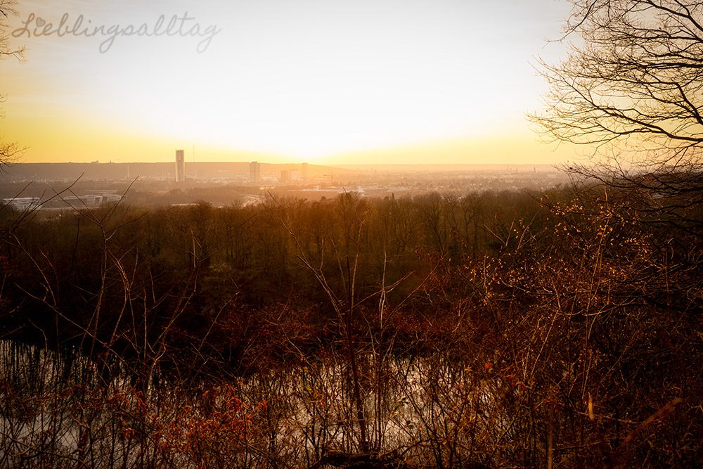 Blick vom Dornheckensee über Bonn