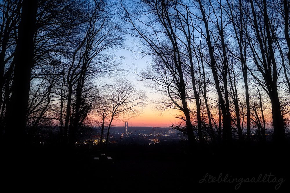 Bonn bei Nacht – Lichtermeer – Projekt 52