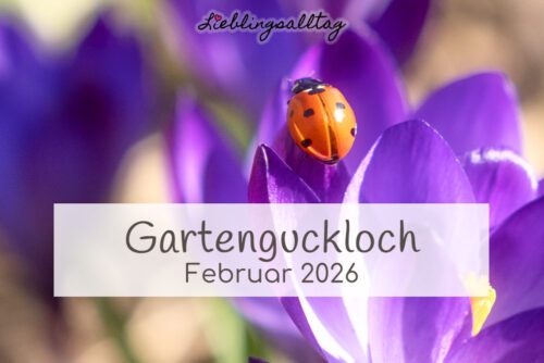 Gartenguckloch im Februar 2026