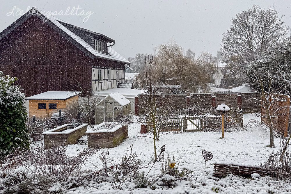 Schnee im Garten im Februar 2026
